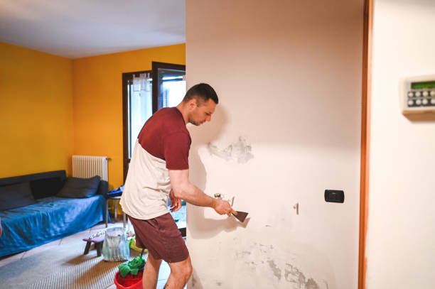 Best Emergency Mold Removal  in Edgewater, MD